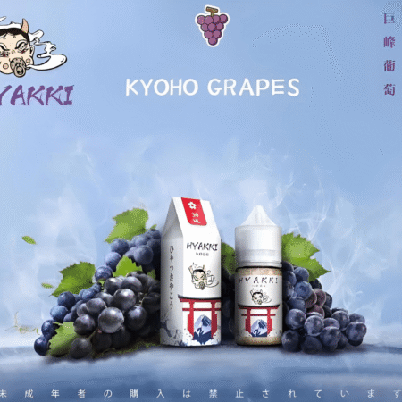 HYAKKI 哈亞齊日系進口 30ml／35mg 小煙專用煙油｜711貨到付款