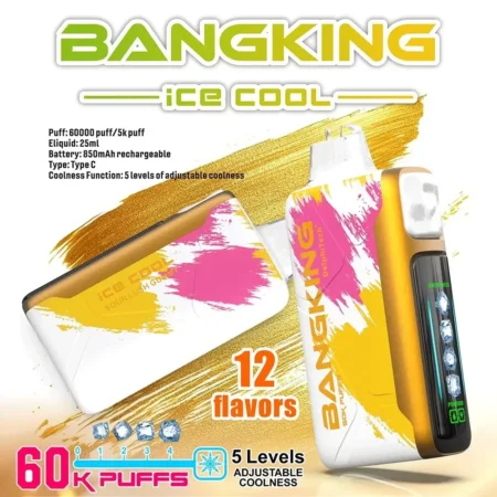 Bang King 60000 拋棄式電子煙|LED 螢幕顯示 × 五檔冰度調節|超長續航大容量・多款口味 Bang King 60000 拋棄式電子煙|LED 螢幕顯示 × 五檔冰度調節|超長續航大容量・多款口味